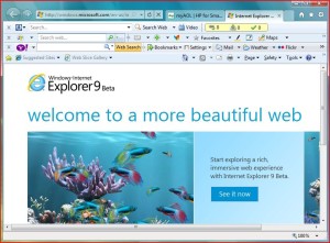 internet explorer