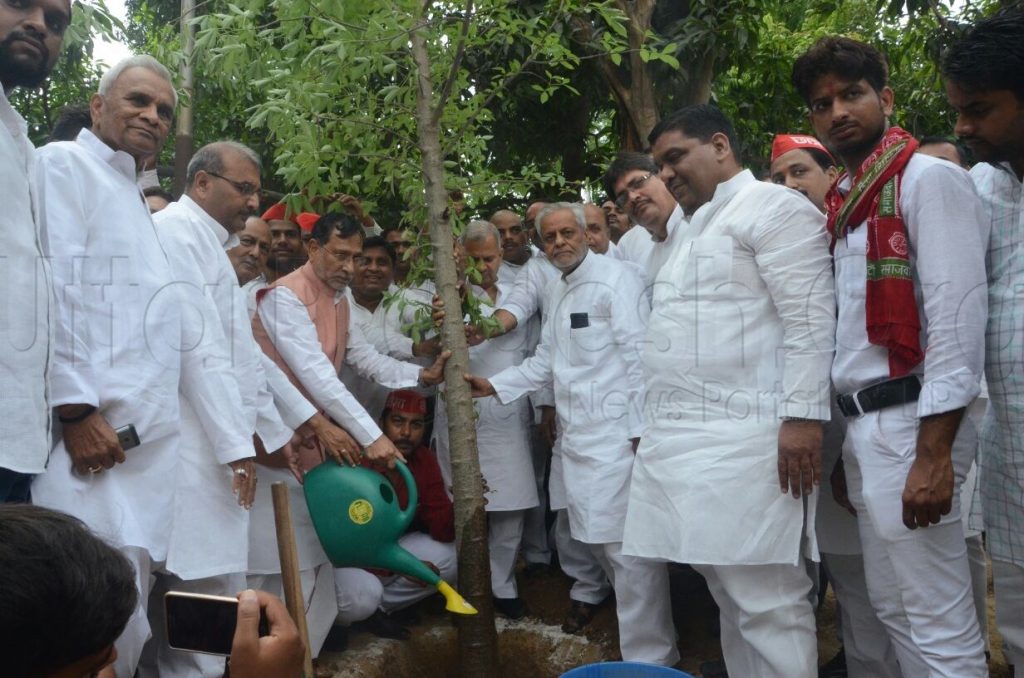 planting on akhilesh yadav 45th birthday