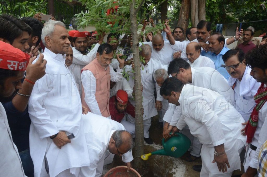 planting on akhilesh yadav 45th birthday