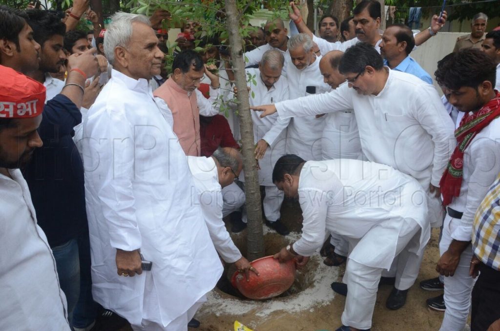 planting on akhilesh yadav 45th birthday