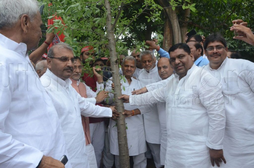 planting on akhilesh yadav 45th birthday