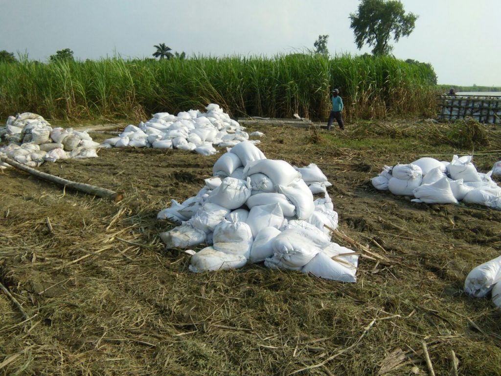 flood affected pilibhit