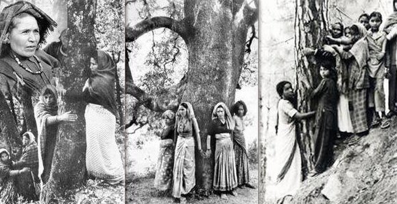 Protecting Trees By Hugging Them in Chipko Movement