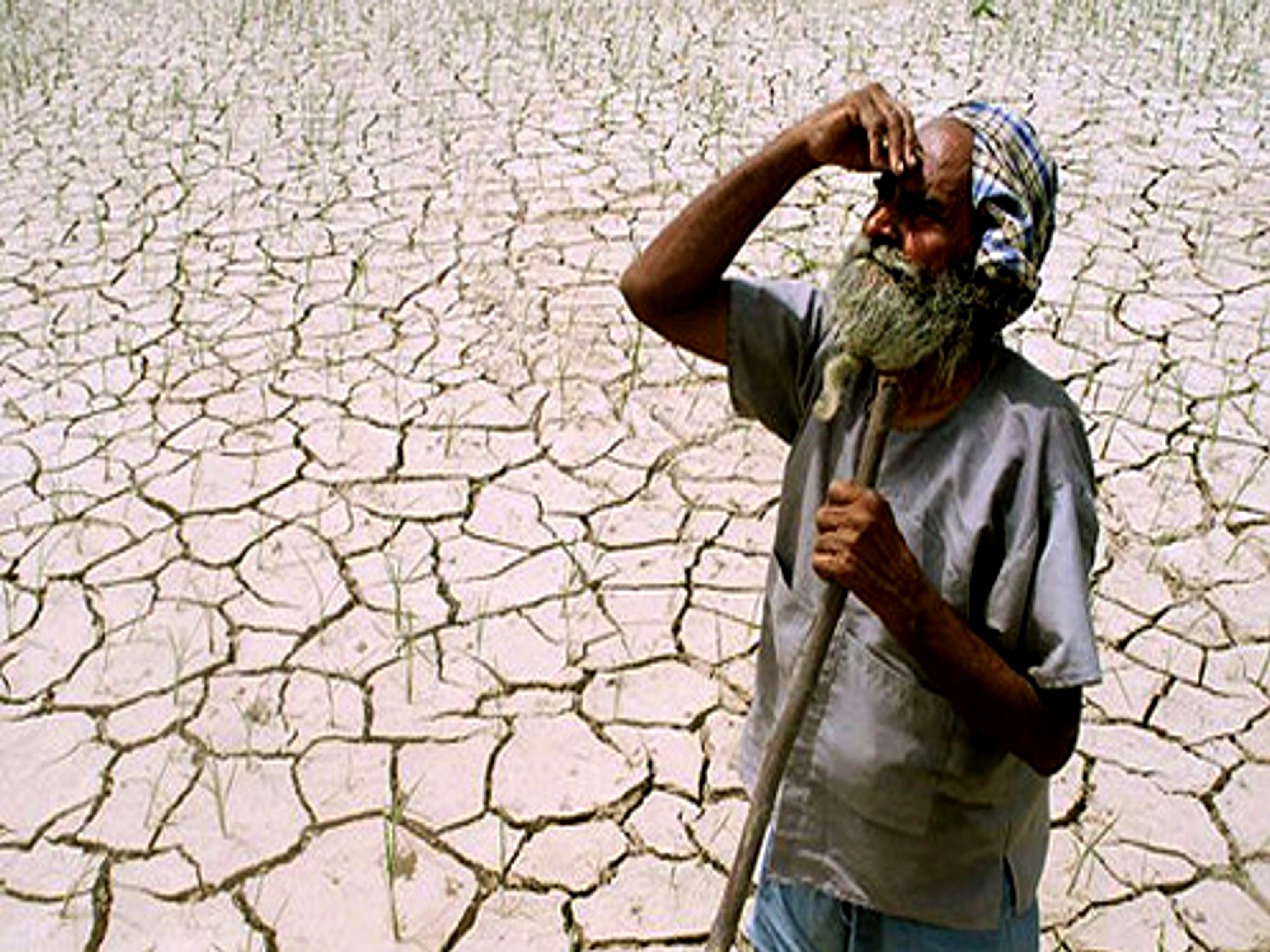 Monsoon In India