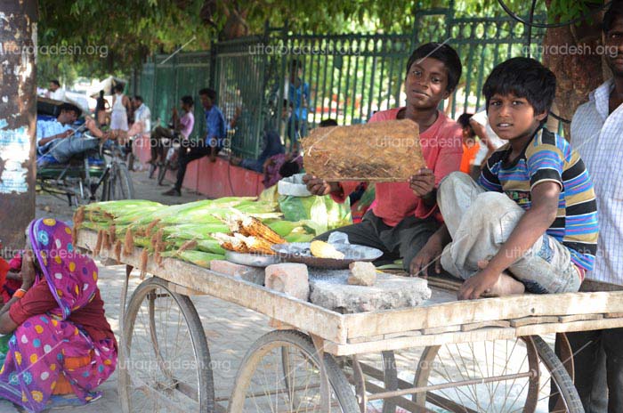 child labour