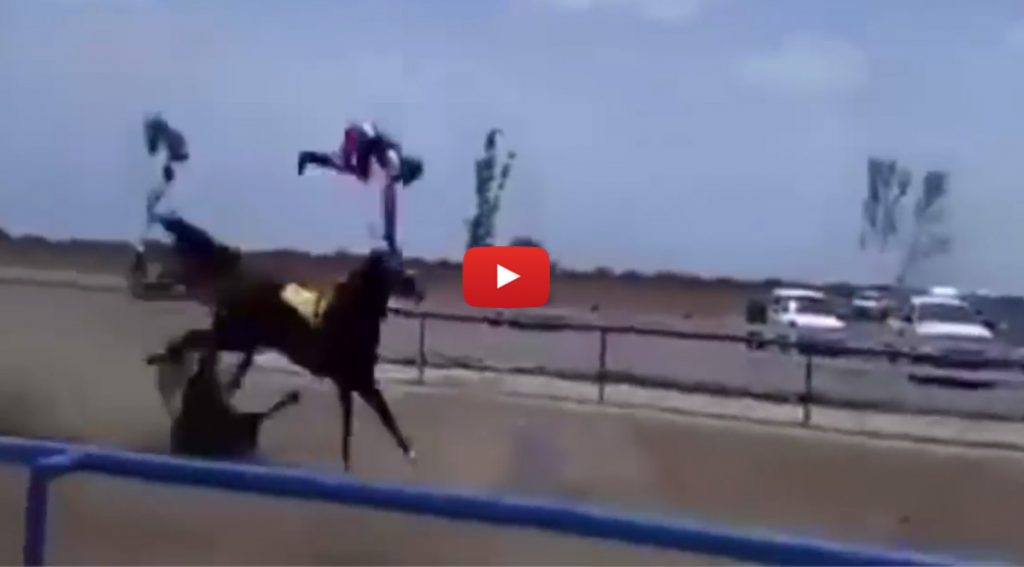 Tragic accident in horse racing