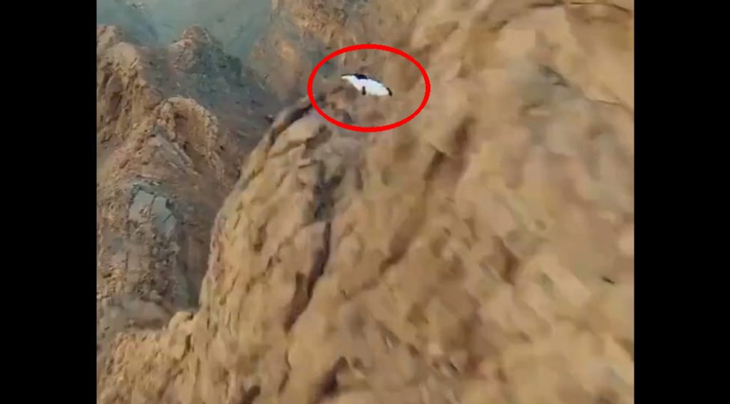 Crazy Wingsuit Flight