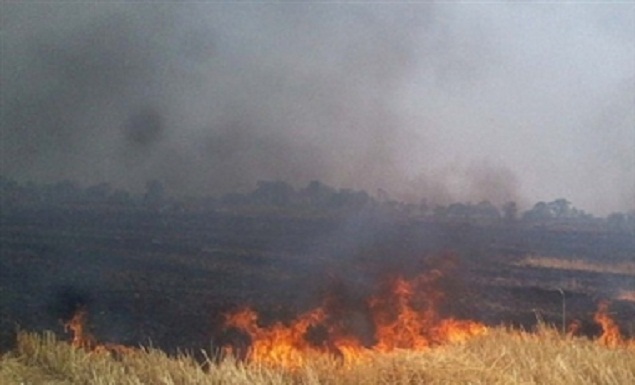 haryana farmers