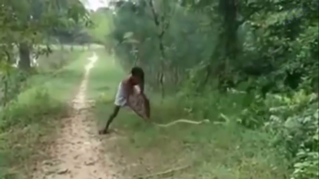 Man Grapples With Snake After It Kills His Son