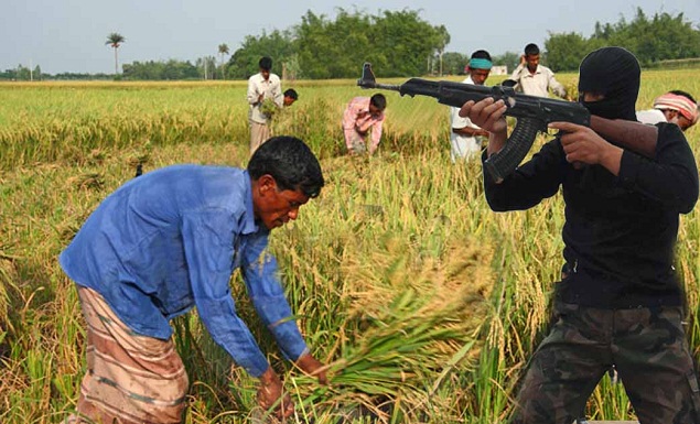 बार्डर किसान