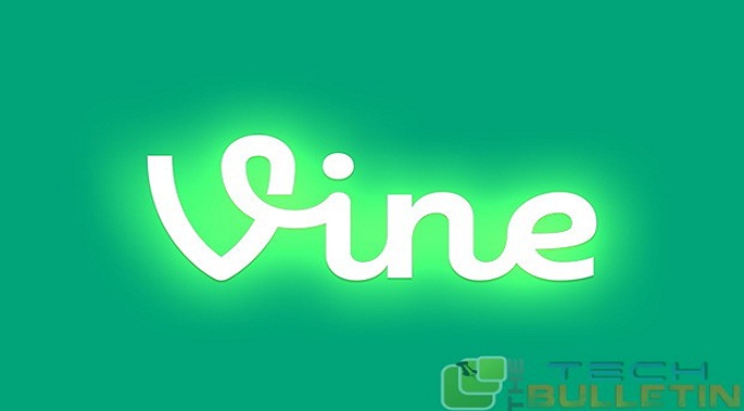 vine-app