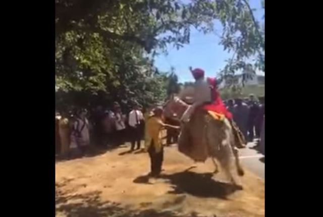 GROOM FALLS OFF HORSE