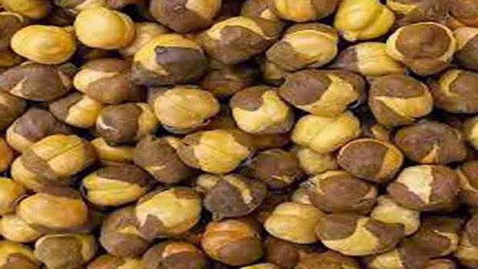 Chickpeas