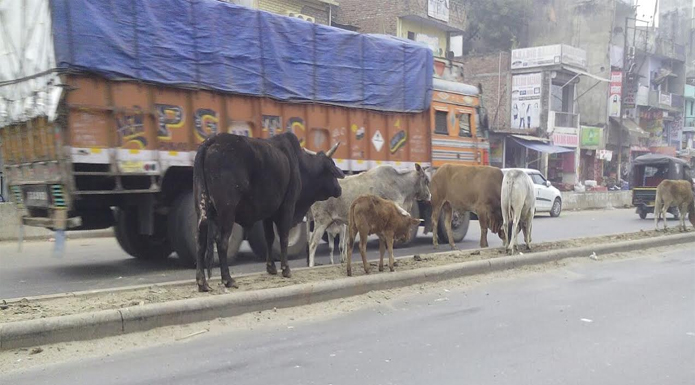 accident in bhadohi