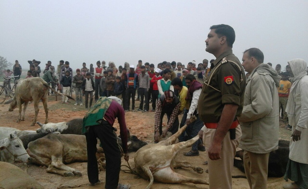 Animal smuggling shahjahanpur