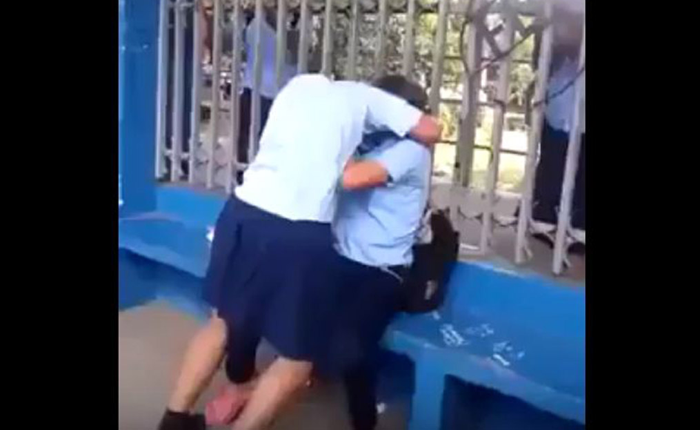 school girls fight