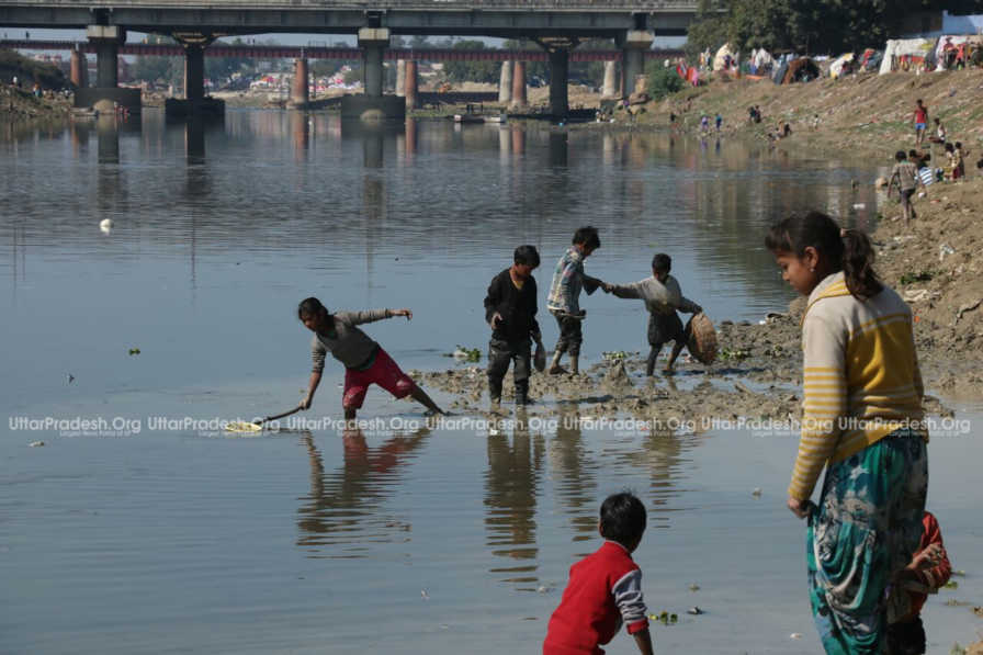 Thousands of fish die in Gomti river