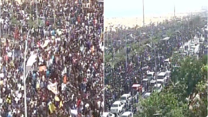 jallikattu protest marina beach