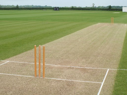 icc warned restrict bad pitch