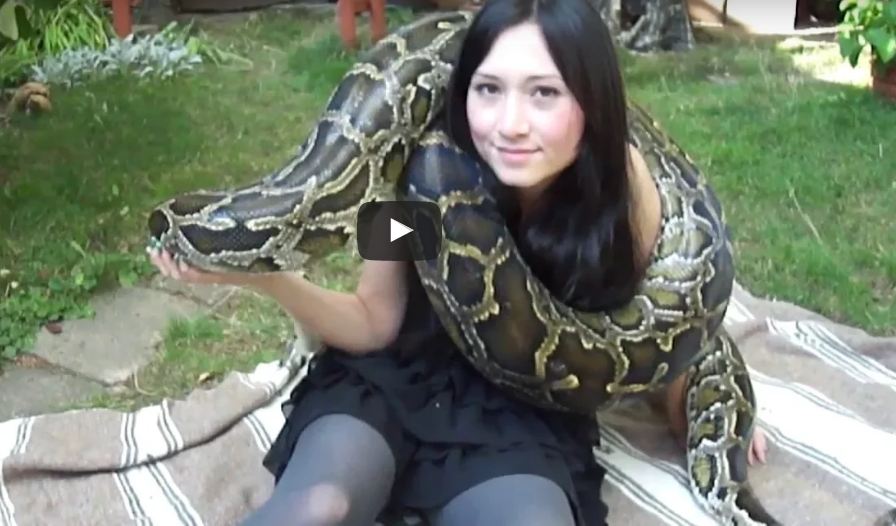 girl with giant python video