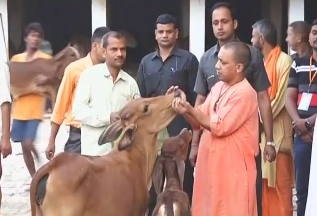 cm yogi in gorakhpur