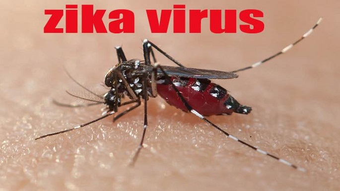 disease ebola zika