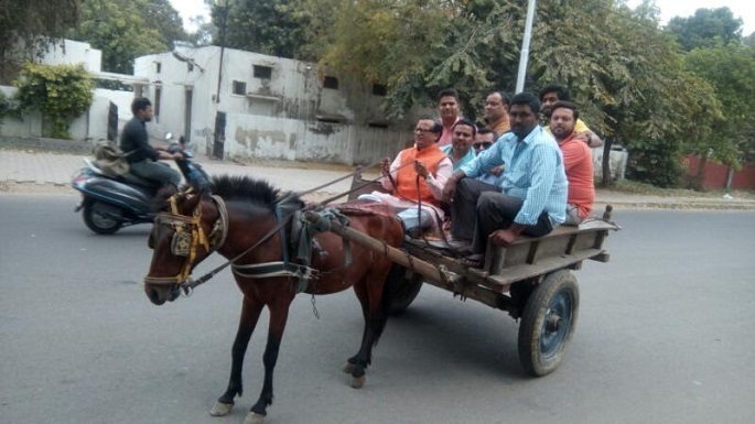 meerut bjp leader horse cart