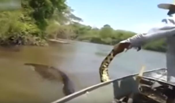 anaconda front boat in river