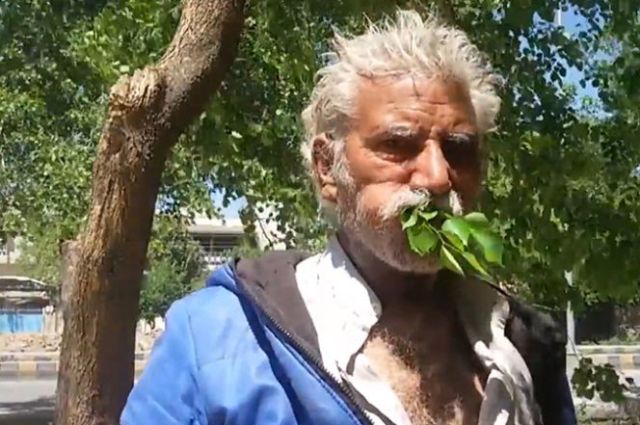 man eats foliage