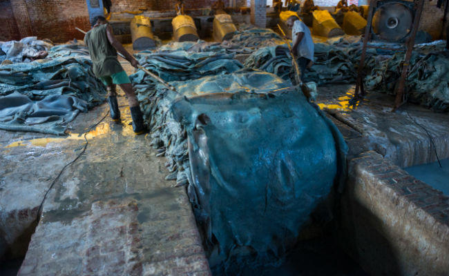 Leather Tanneries