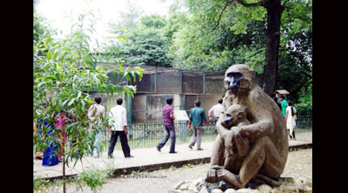 Lucknow Zoo