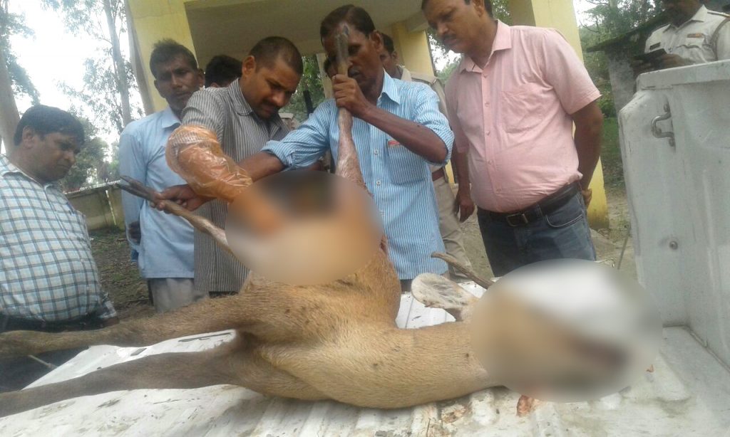 hunter shot dead to deer in malihabad thana lucknow