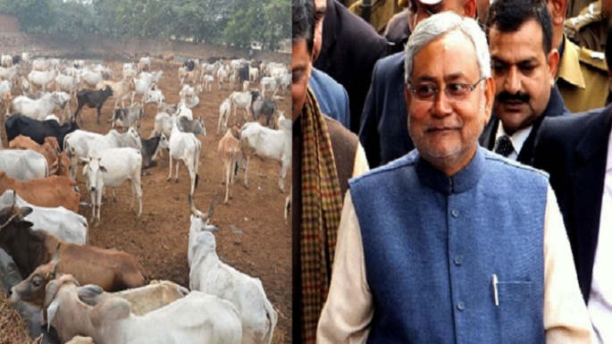 nitish kumar built cowshed