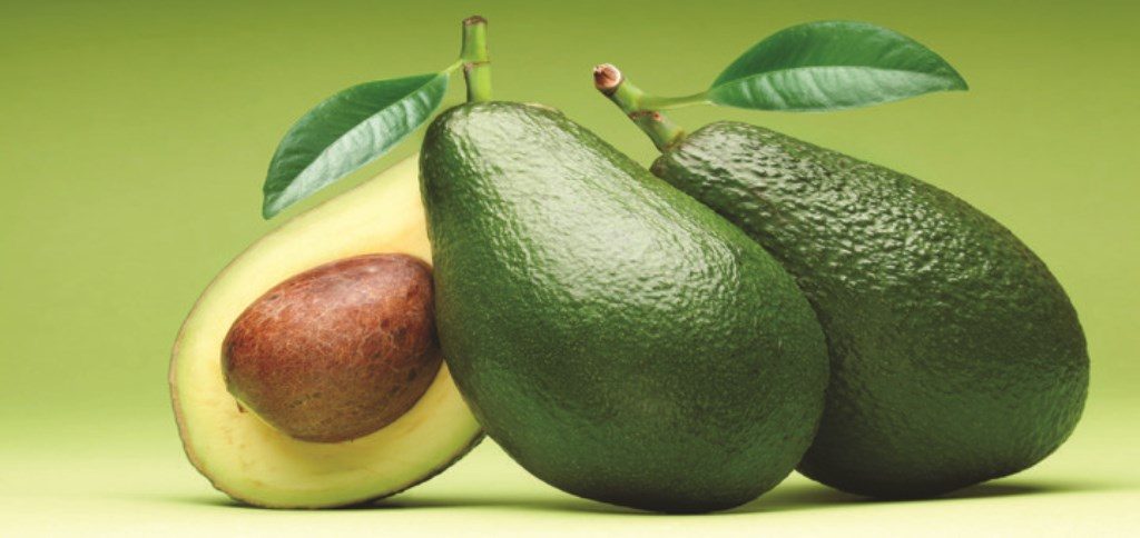 One avocado a day boosts memory!