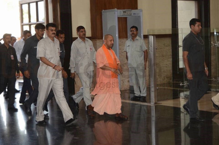 yogi inspected flood