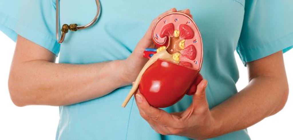 Steroids used in the treatment of kidney disease are adverse effects