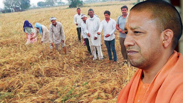 farmer loan waiver