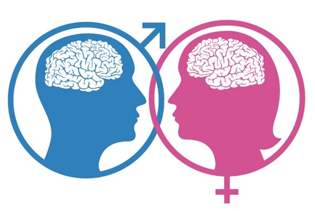 Women's brains more active than that of men