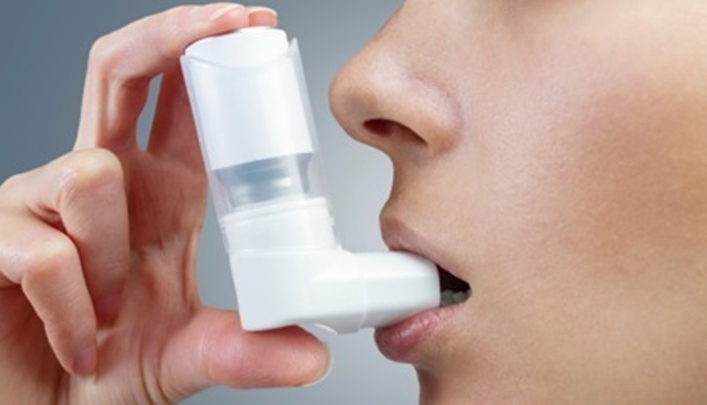 Ornamental plant extract may help combat asthma