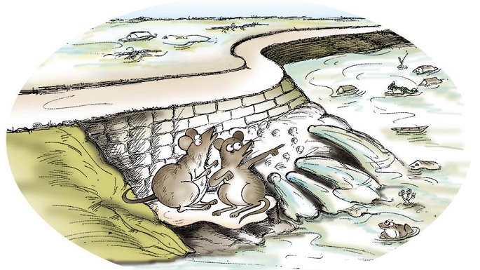 bihar flood rat