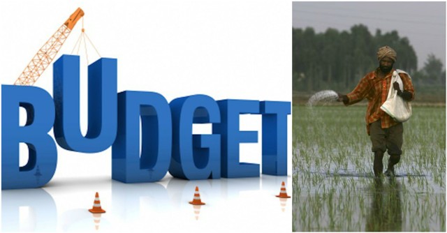 budget 2018 agricultural issues