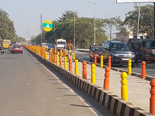 Saffron colour climbing on municipal dividers and parks