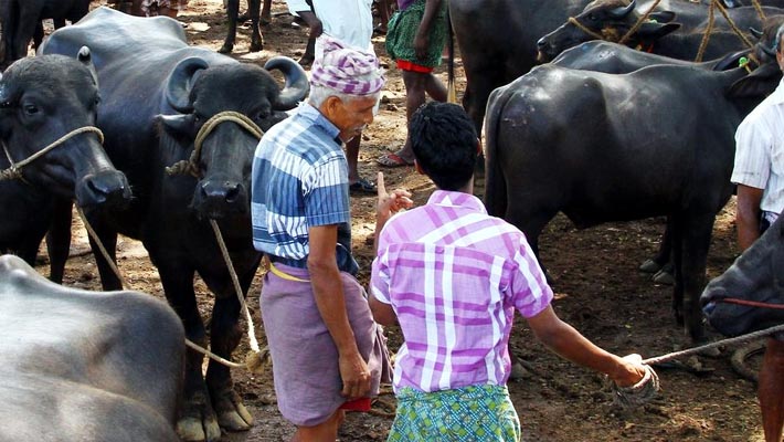 sale of meat ban anti Dalit decision