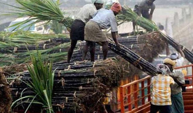 outstanding value of sugarcane upto 2400 crores