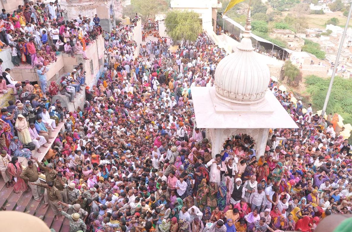 laddu holi 1