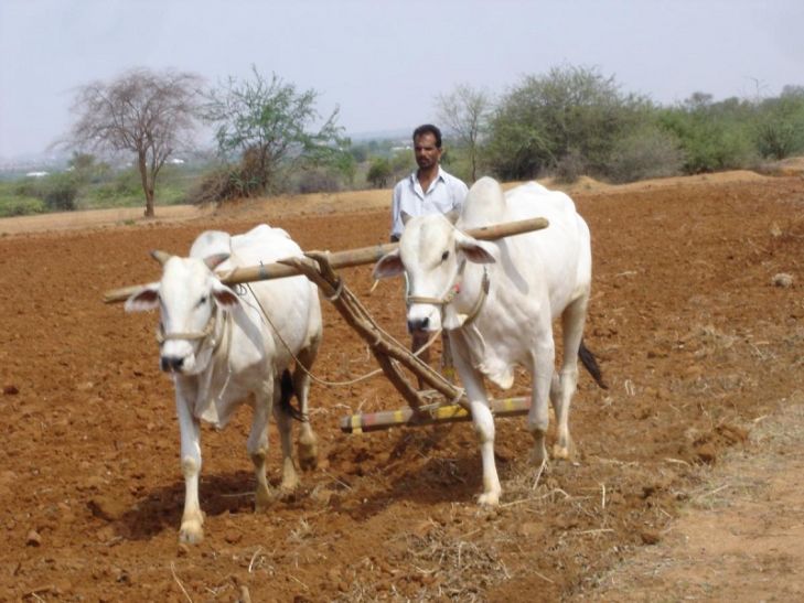 up mukhyamantri kishan bima yojna no budget pass