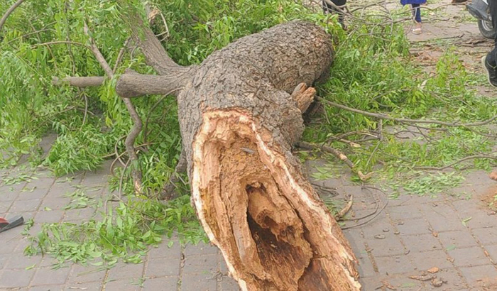 storm destroyed the poor houses in Mirzapur District