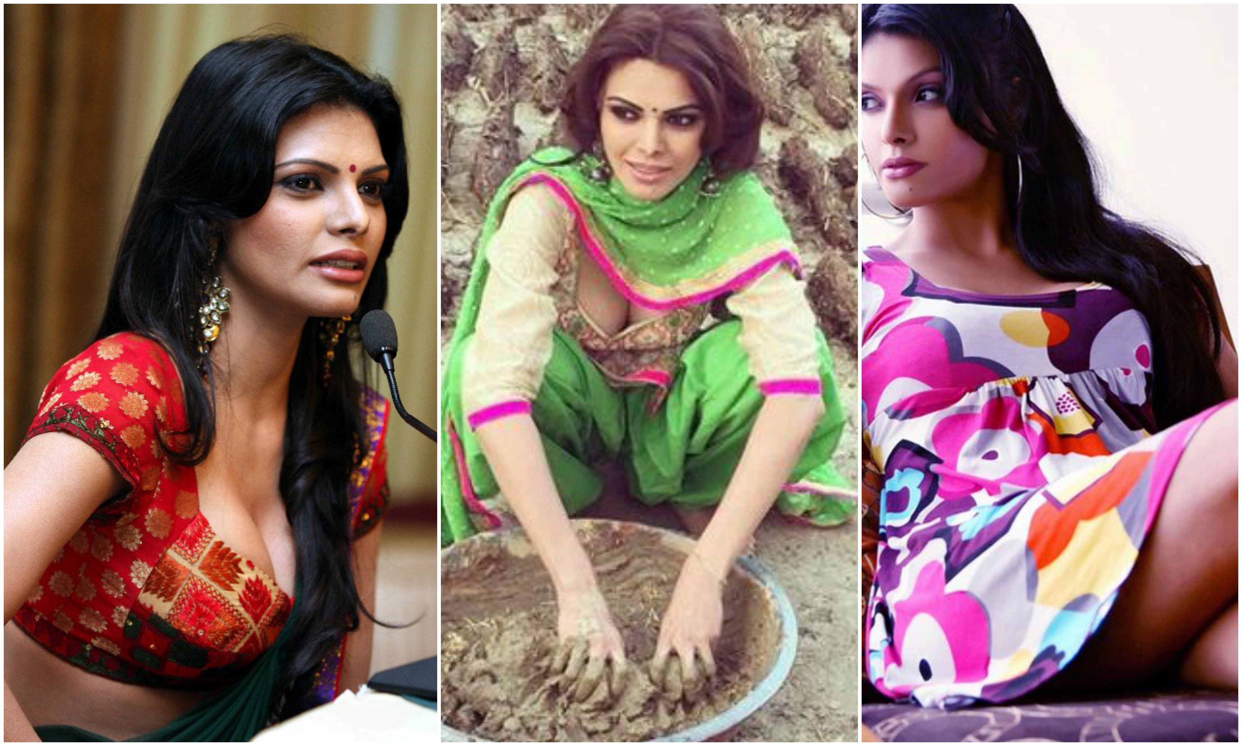 actress sherlyn chopra instagram pics