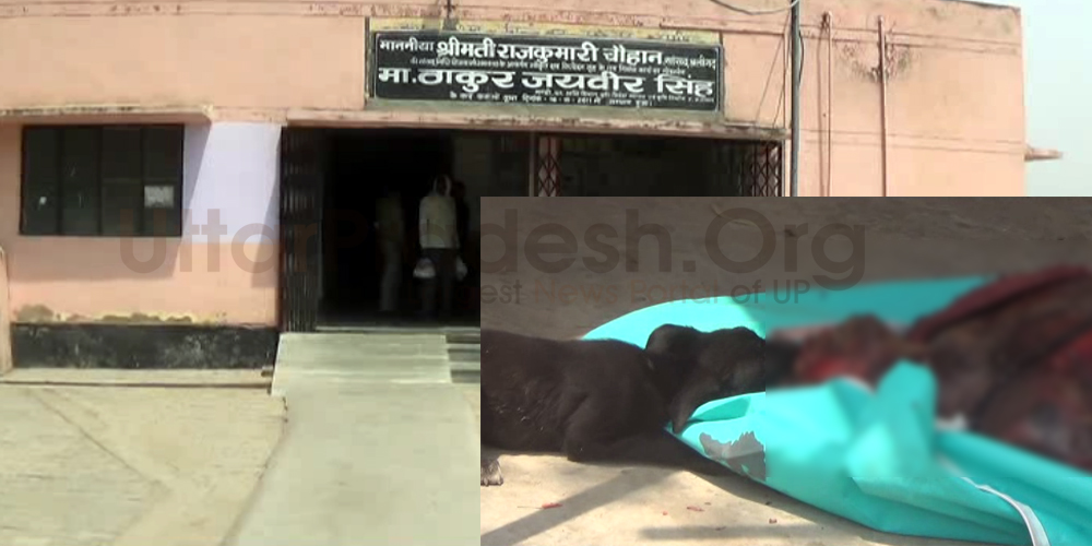 dog teared man dead body in aligarh postmortem house video