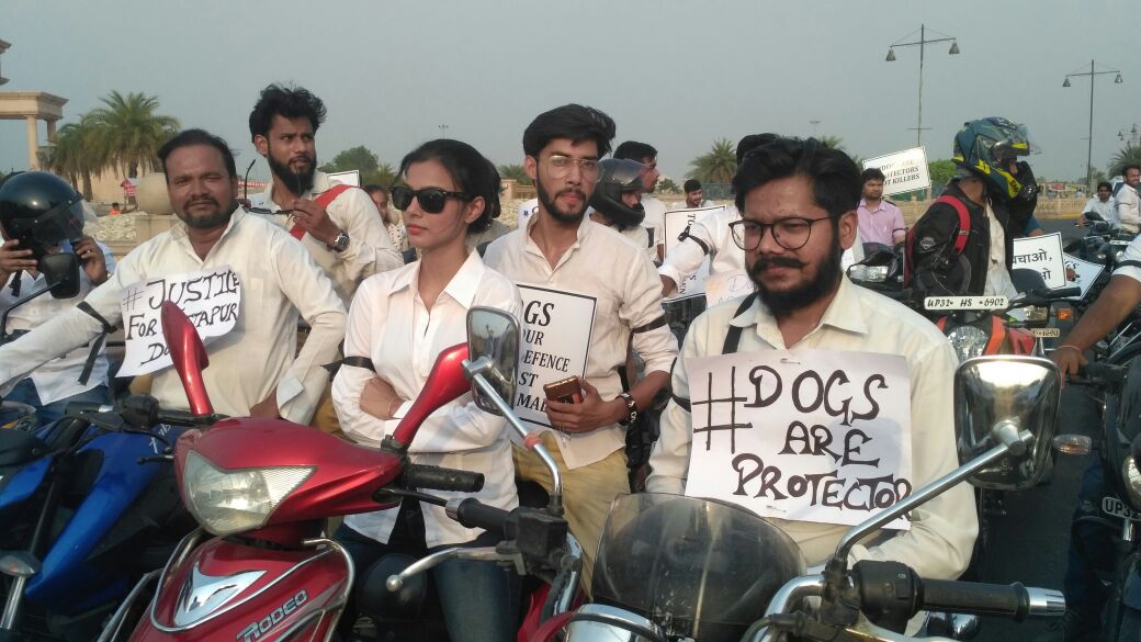 Save Sitapur innocent dogs NGO LAWF bike rally today